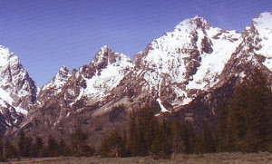 chapman